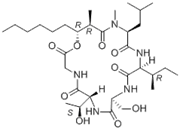Picture of Globomycin