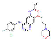 Picture of Canertinib