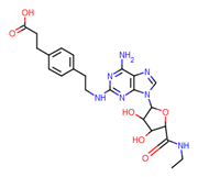 Picture of CGS 21680