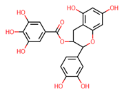 Picture of (-)-epicatechin gallate