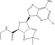 Picture of (3aS,4S,6R,6aR)-6-(6-amino-2-chloro-9H-purin-9-yl)-N-ethyl-2,2-dimethyltetrahydrofuro[3,4-d][1,3]dioxole-4-carboxamide