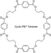 Picture of Cyclic PBT Tetramer