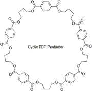 Picture of Cyclic PBT Pentamer