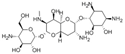 Picture for category Aminoglycoside Antibiotics