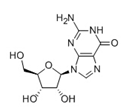 Picture for category Nucleosides