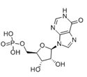 Picture for category Nucleotides