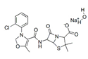 Picture for category Penicilines