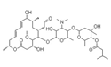 Picture for category Macrolide Antibiotics