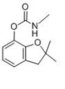 Picture of Carbofuran