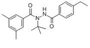 Picture of Tebufenozide