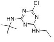 Picture of Terbuthylazine