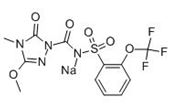 Picture of Flucarbazone-sodium