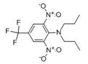 Picture of Triﬂuralin