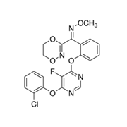 Picture of E-Fluoxastrobin Solution in Acetone, 100μg/mL